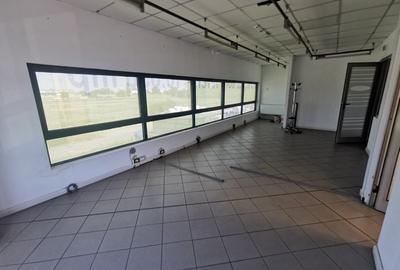 Birou, 646 mp în Șagului - 5