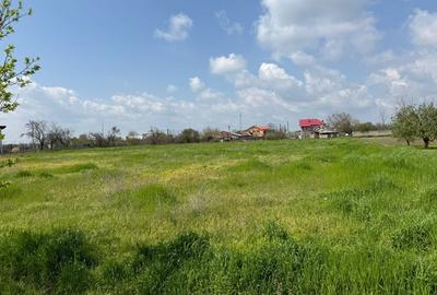 Spațiu comercial, în Central - 1