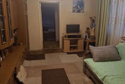 Apartament cu 2 camere în Valea Rosie - 2