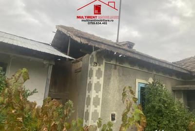 Casă cu 3 camere cu Teren 3895 Mp în Rândunica - 2