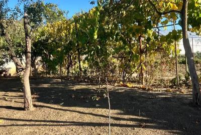 Casă cu 4 camere în Parța - 5