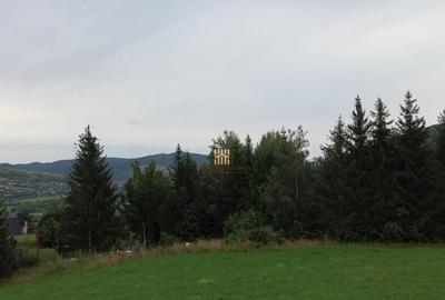 Teren 5023 mp In Bucovina Zona Manastirea Voronet De 07278 - 3