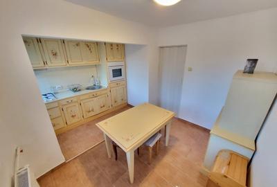 Apartament cu 2 camere decomandat, mobilat în P-ța Unirii - 12