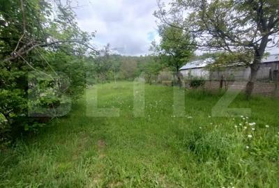 Casă cu 3 camere cu Teren 1700 Mp în Năsăud - 4