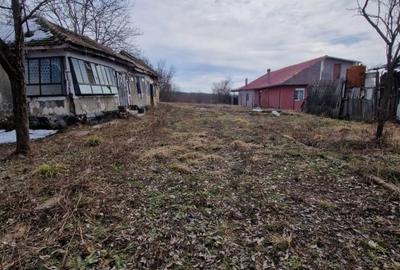 Teren agricol intravilan de 2500 mp, în Hârsa - 3