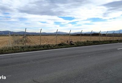 Teren de 14450 mp, în Feldioara - 4