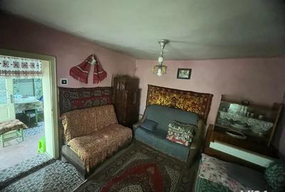 Casa la tara, sat Ru?i,23km de Sibiu -2300mp teren - 6