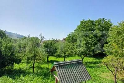 Casă cu 4 camere cu Teren 1860 Mp în Câmpia Turzii - 13