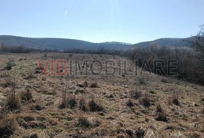 Teren de 3200000 mp, în Conop - 6