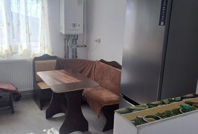 Apartament cu 2 camere semidecomandat în Central - 7