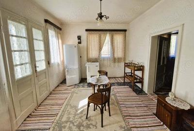 Casa cu teren 3000m2 intravilan - 8