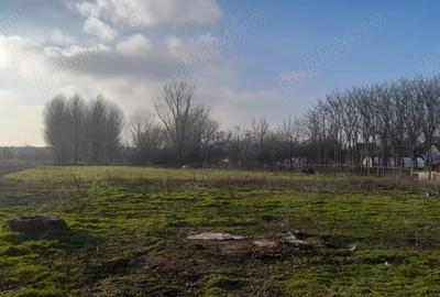 Casă cu 2 camere în Central - 2