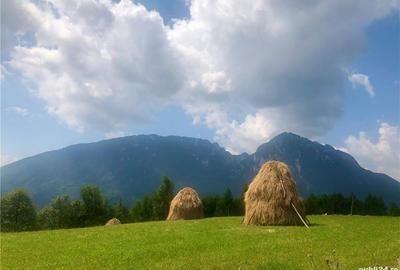 Spațiu comercial, de 1,500 mp, în Poiana Mărului - 10