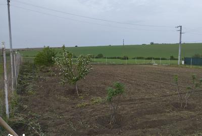 Teren de 791 mp, în Central - 5