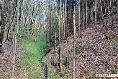 Teren de 69237 mp, în Criș - 5