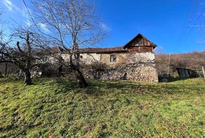 Teren intravilan 6.229 mp Șuncuiuș – râu, izvor, ideal business turistic - 4