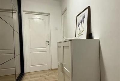 Vanzare Garsoniera Decomandata Berceni-Secuilor - 11