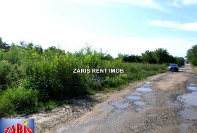 Teren intravilan in Tatarani, Prahova - 6