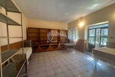 Oportunitate afacere sau casa de locuit situata in Techirgiol - 7