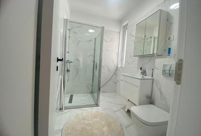 Inchiriere vila cocheta in Titanul Nou, zona Parcul Teilor-Bratarii - 11