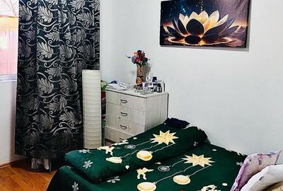 Apartament cu 2 camere semidecomandat în Tei - 2
