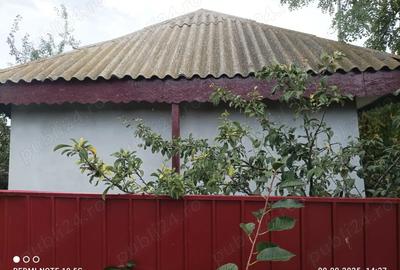 Casa batraneasca Chilia Veche - 2