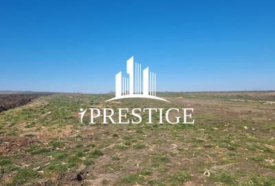 Teren Construcții intravilan de 420 mp, în Șura Mică - 3