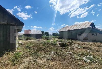 Teren 9600 mp si casa batraneasca demolabila, Dealu - 2