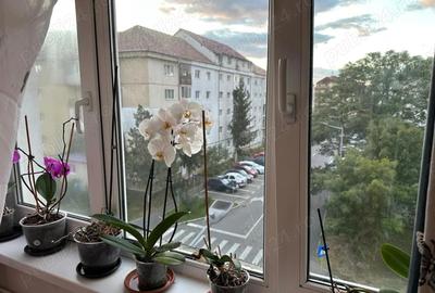 Inchiriez apartament 2 camere, cartier Strand - 8