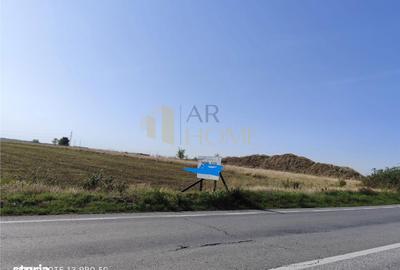 Teren de 2500 mp, în Cocorăștii Colț - 2