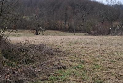 Teren de 3140 mp, în Petriș - 2