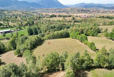 Teren intravilan, priveliste deosebita - 12