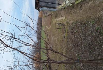 Casă cu 5 camere în Poiana Mare