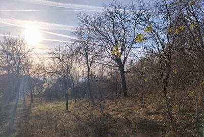 Teren intravilan Breaza 4,000mp cu  utilitati. Panorama superba. Intimitate. - 12