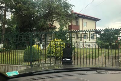 Proprietate: Vila-304mp;Teren-3000mp-Anexe - 2