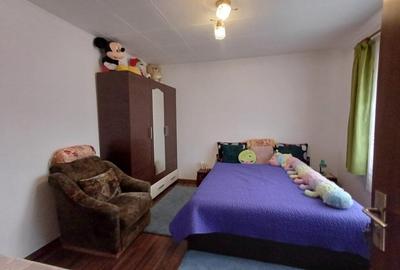 Casa 3 Camere, beci, magazie, mansarda - 500 mp Teren - 16