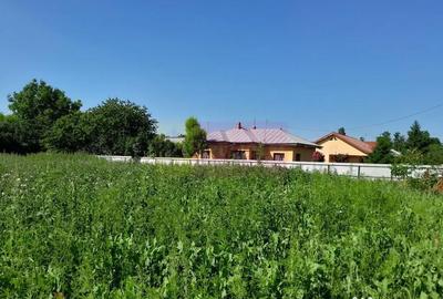 Teren de 1800 mp, în Movilița - 10