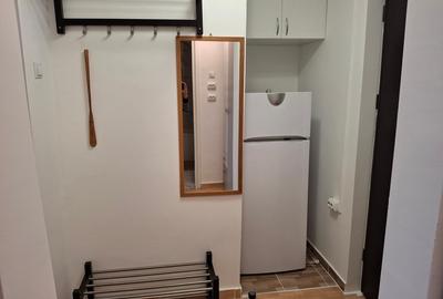 Garsoniera  eleganta renovata integral la prima inchiriere in zona Tineretului - 11