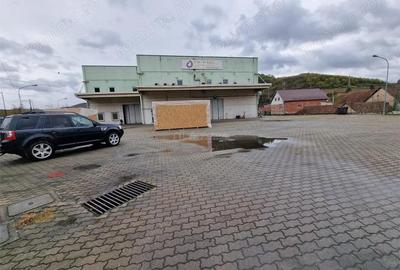 Resita CHIRIE Constructie tip hala 2 nivele 3298 Mp cu teren 6695 Mp - 18