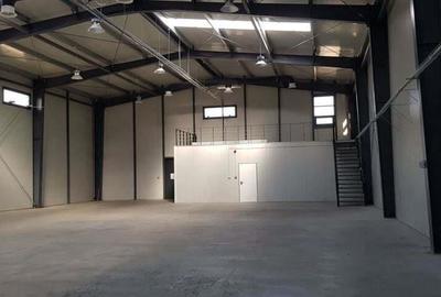 Spatiu depozitare si productie Mogosoaia - 7