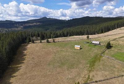 Teren de vanzare 15 hectare in Bucovina Moldova Sulita zona Lucina - 4