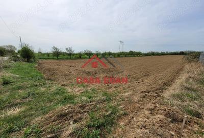 Teren de 2400 mp, în Câmpina - 8