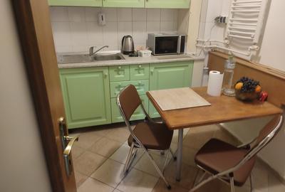 Garsonieră semidecomandată în Banu Manta - 5