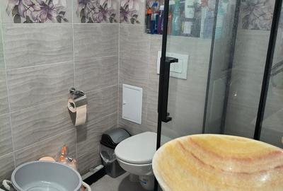 Casă individuală cu 1 camere cu Canalizare în Sântandrei - 8