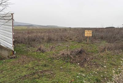 Spațiu comercial, în Central