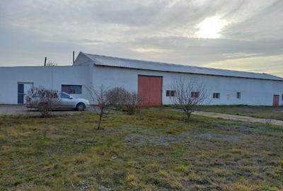 Spațiu industrial, 1500 mp în Mangalia - 2