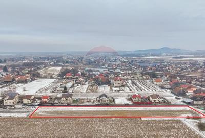 Oportunitate investițională – Teren intravilan 5.646 mp, Stupini - 7