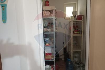 OCAZIE!!! CASA SUPERBA cu teren in JULITA jud Arad in M tii Zarandului - 38