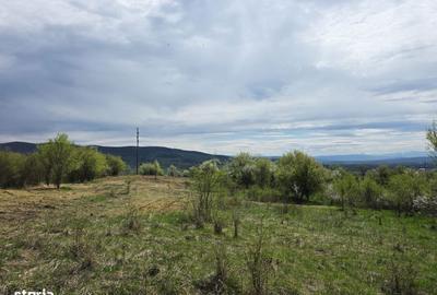 Spațiu comercial, în Bârsău - 7