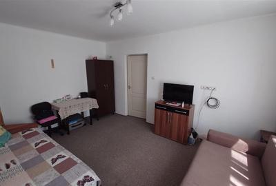 Proprietate cu vibe rural si potential turistic - 13